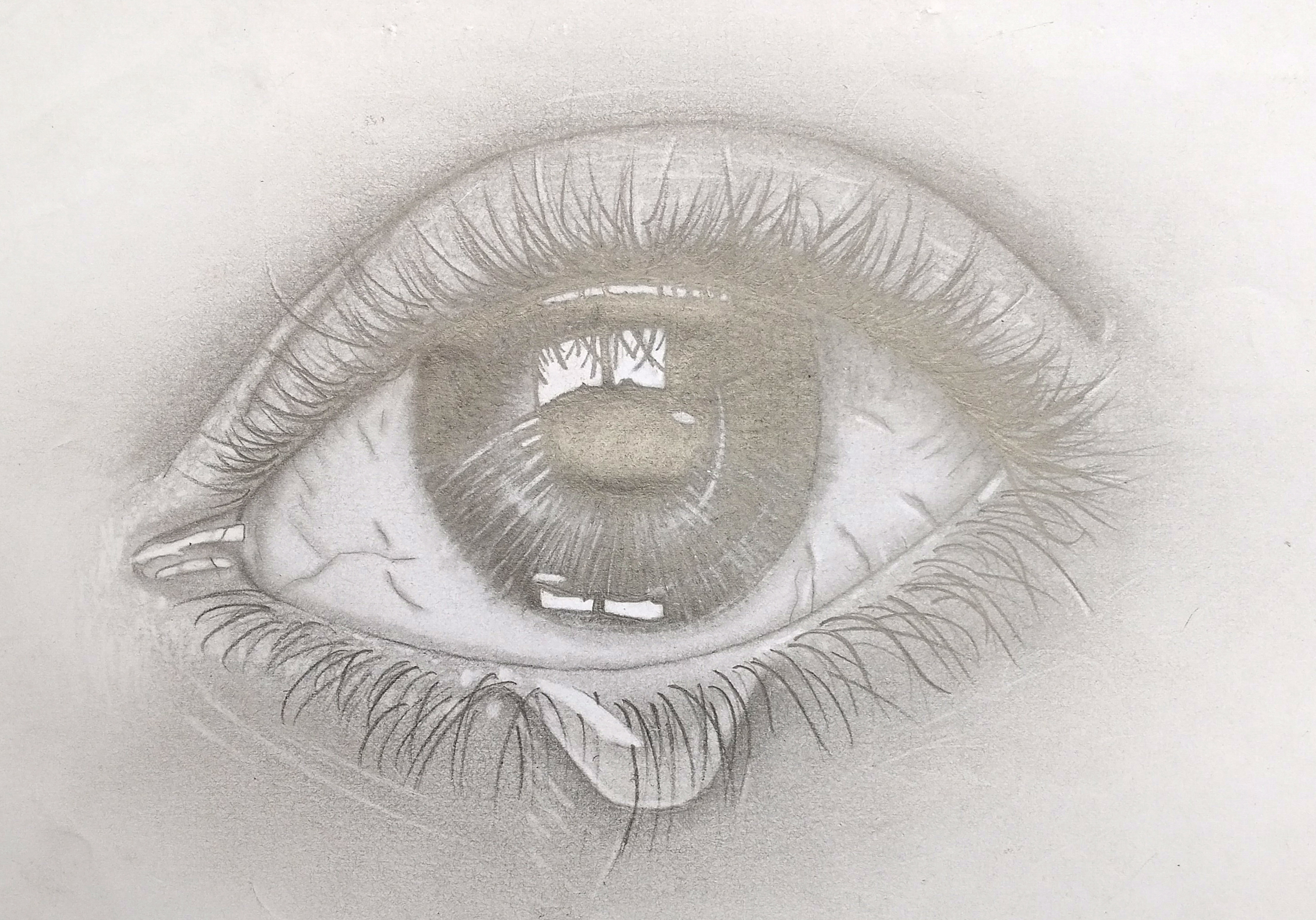 e198f756-9e6a-4bbd-ad9a-9f6108b745ec (2) (1)